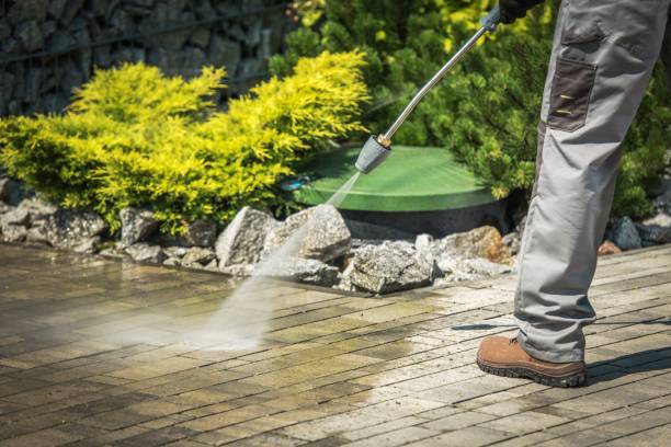 Best Winterizing Services  in Eldridge, IA