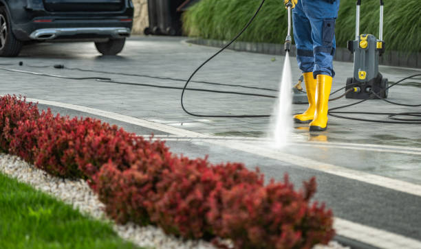 Best Fence Cleaning  in Eldridge, IA