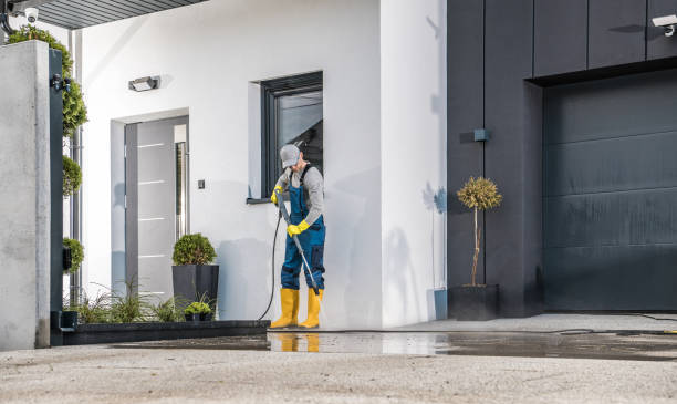 Best Pool Deck Cleaning  in Eldridge, IA
